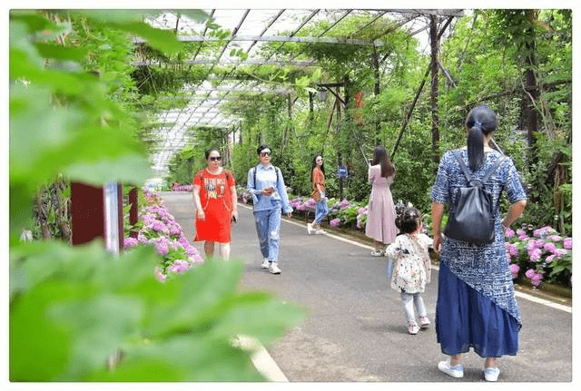 湖北鄂泰華田園綜合體項目